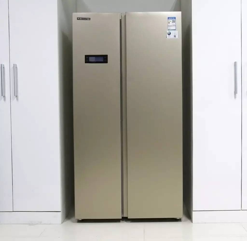 入门冰箱哪种品牌性价比高,入门冰箱推荐