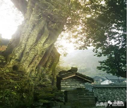 百年前，骤然消逝的苗寨“成江鬼井”，至今还是迷一样的存在