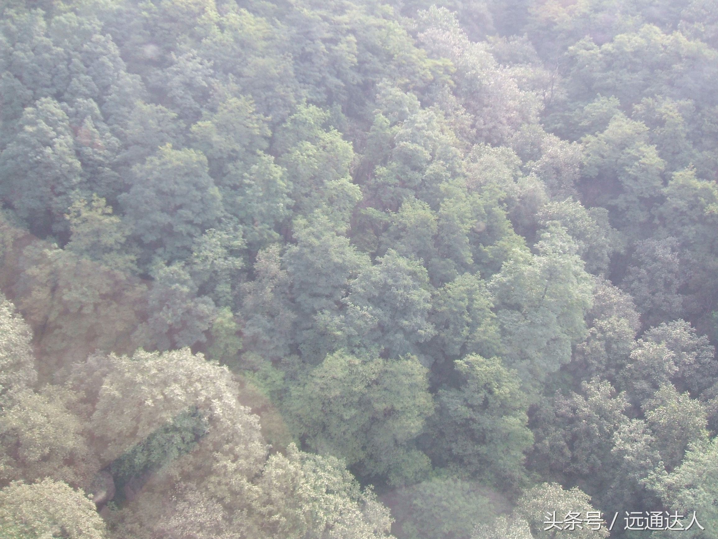 身为泰安人第一次爬泰山,陪爷爷爬泰山感慨朋友圈