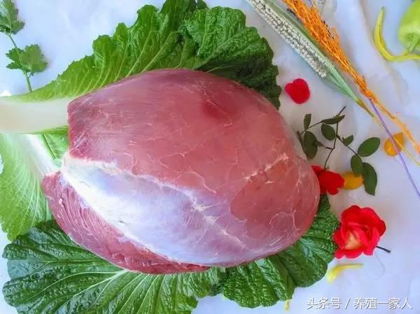 全牛各部位分割图解与吃法,牛肉超齐全的顶级牛肉知识和做法
