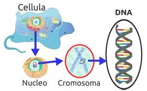 遗传疾病基因检测有意义吗,遗传基因治疗癌症案例