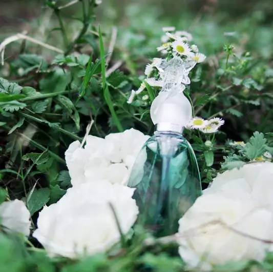 安娜苏独角兽香水属于什么档次,安娜苏美人鱼香水和独角兽香水