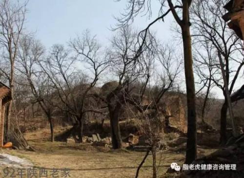 频临倒闭的屌丝老板大健康趋势下完美蜕变