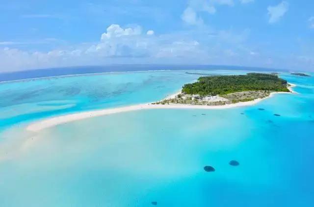 喜大普奔完整版视频,喜大普奔完整视频