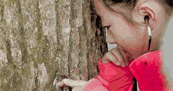 杭州父亲网上筹款办亲近自然学校参考日本富士幼儿园