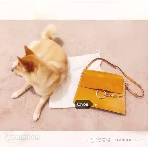 chloefaye女包,chloefaye黑色包包值得入手吗