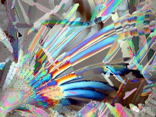 2月25日是好日子吗,2月25日有什么含义呢