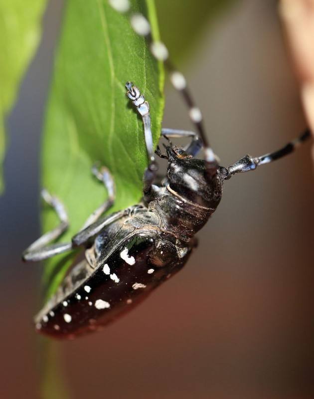 回忆一下2018年的神兽们,记录曾经神兽们的点点滴滴