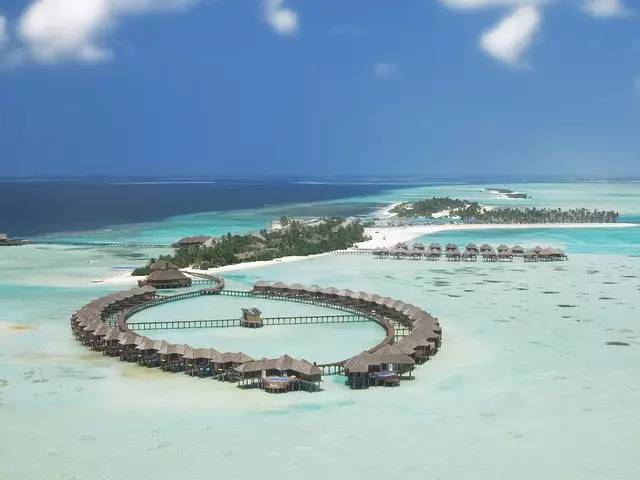 喜大普奔完整版视频,喜大普奔完整视频