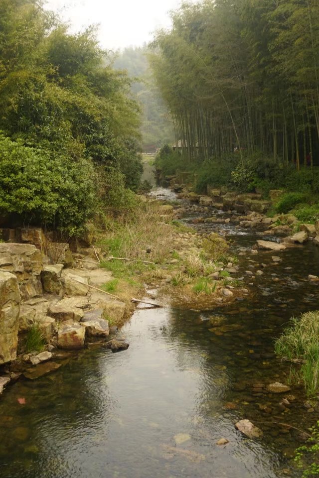 下江南游杭州,下江南旅行