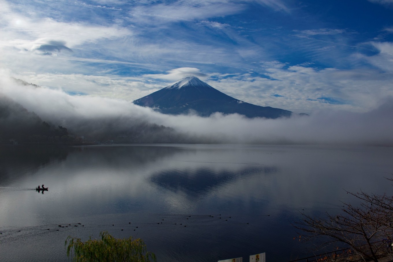 日本物语落樱下的邂逅,浪漫的日本物语