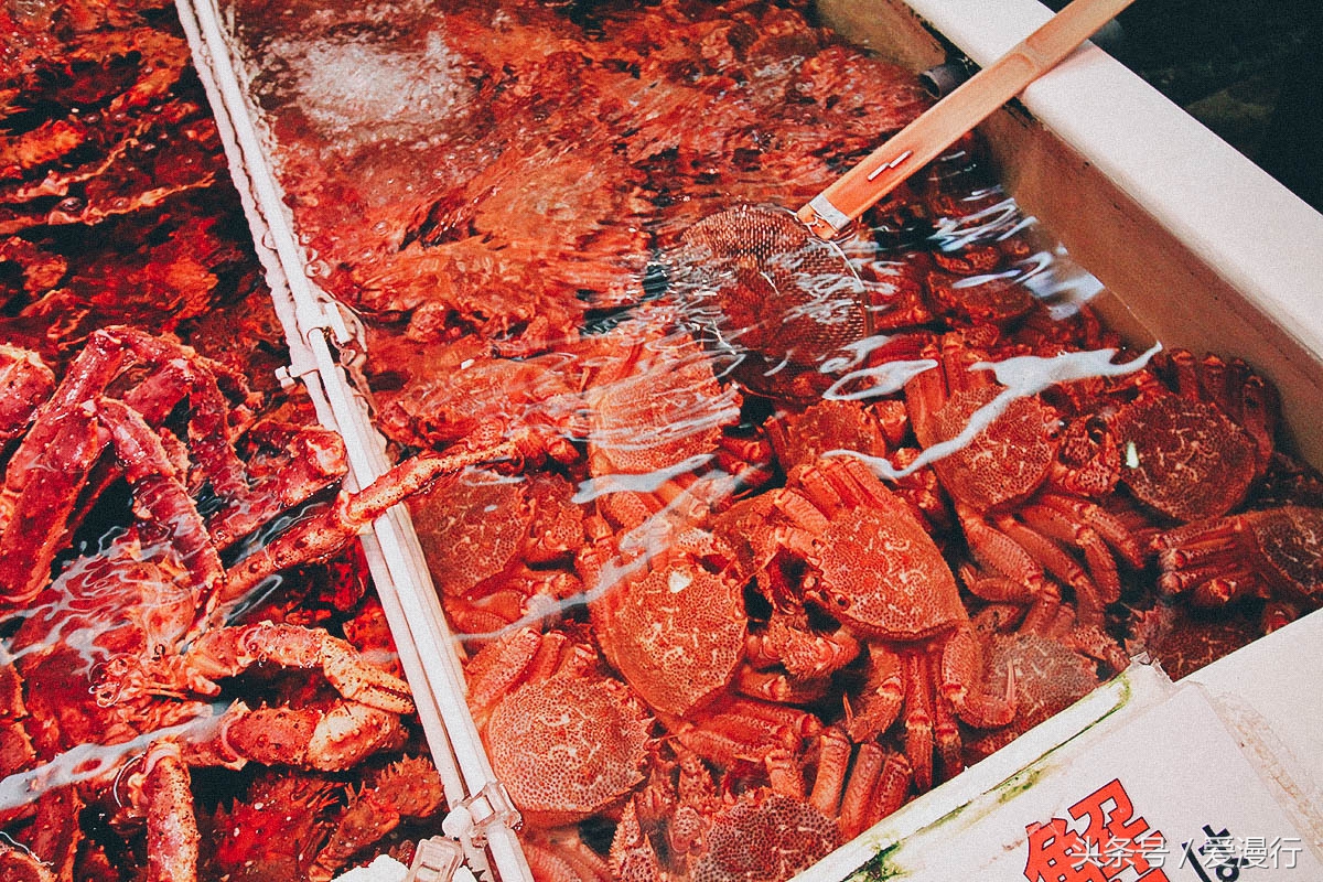 吃货小情书,一封来自小樽的情书完整版