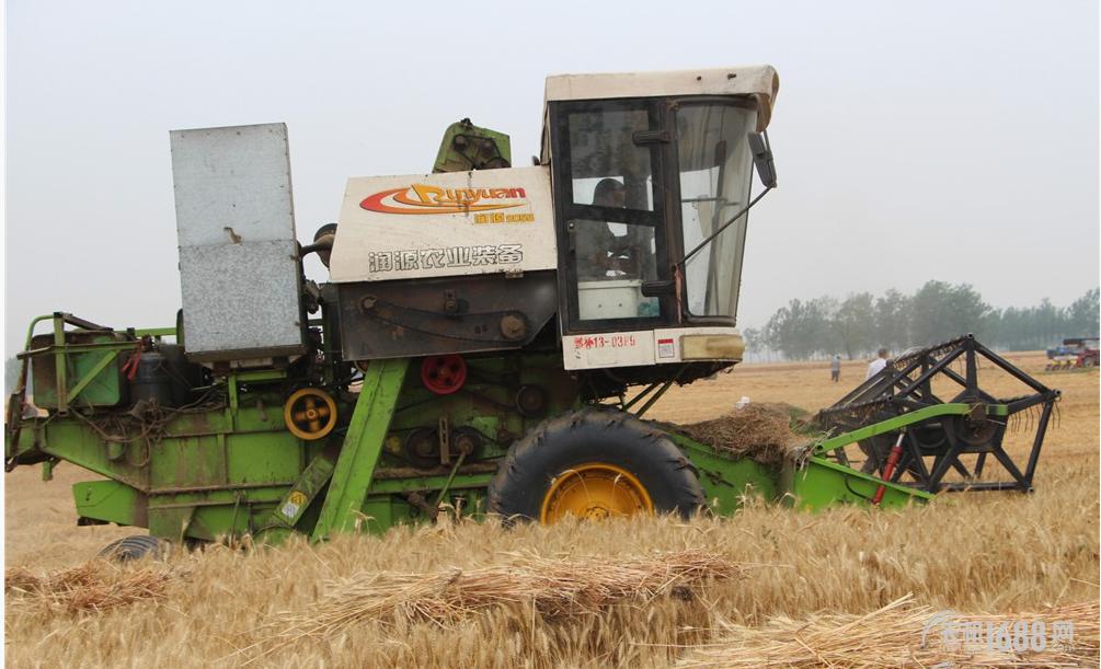 套马的汉子最威武视频,套马的汉子雄壮吗