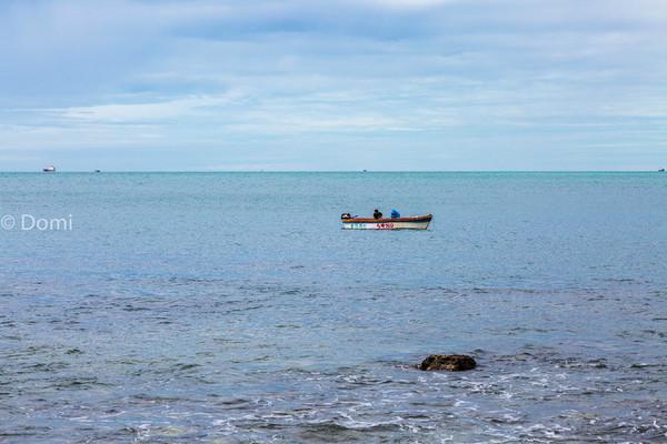 一顿海鲜大餐都有什么,海鲜大餐又便宜又营养又好吃