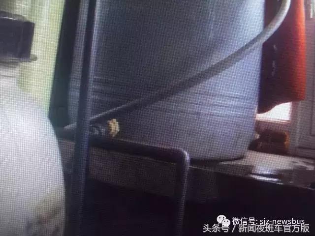 山泉水探源头,山泉水水质勘探调查