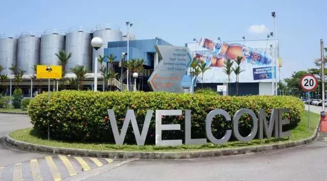 夏一站—深夜的啤酒比清晨的白粥好喝!尤其是虎牌的!