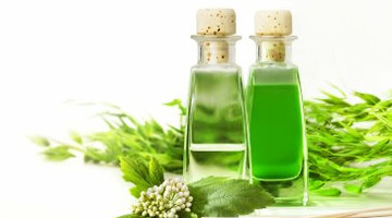 夏日防蚊虫叮咬超实用小窍门,夏天蚊虫叮咬教你快速消肿止痒