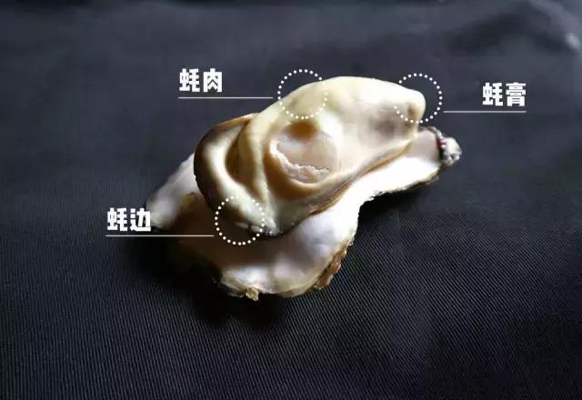 曝光！这种海鲜有“毒”，夏天千万别吃！否则