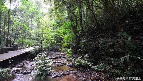 西双版纳在水一方泼水节,版纳哪里可以感受泼水