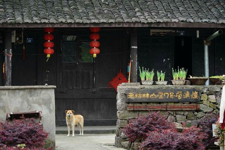 象山县石浦镇是城镇吗,象山石浦镇古城地图