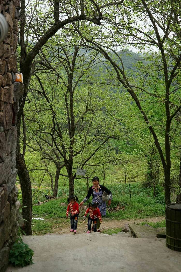 象山县石浦镇是城镇吗,象山石浦镇古城地图