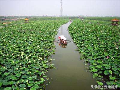 雄安新区白洋淀今日最新消息,雄安白洋淀近况