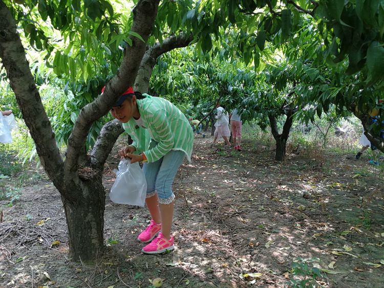 暑假桃源一日游,荥阳高村沐恩生态园