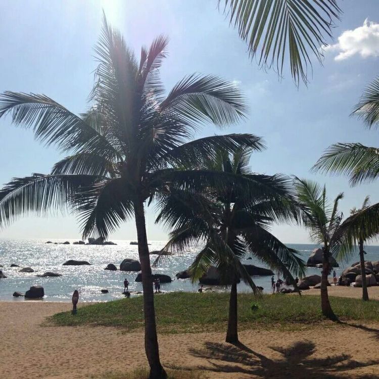 海南旅行三亚旅游攻略,海南三亚夫妻结伴旅行
