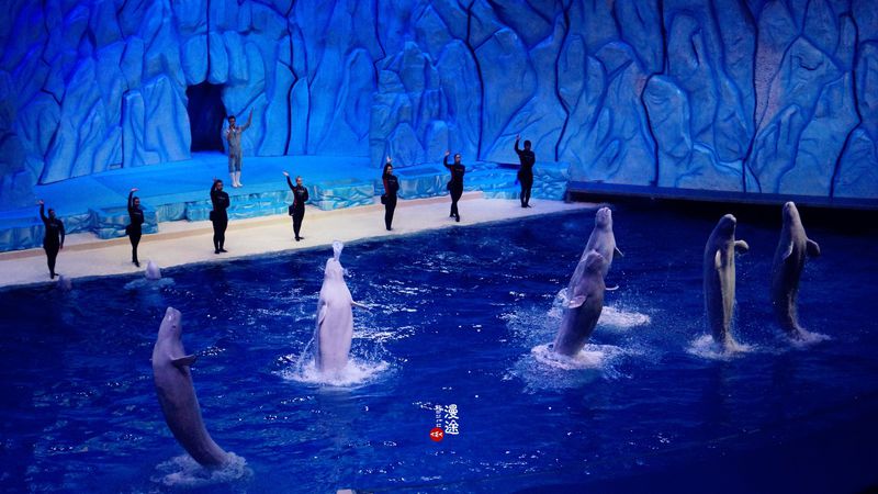 长隆亲子两大两小旅游攻略,珠海长隆横琴湾酒店亲子攻略