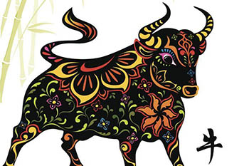 你几号出生就注定你这辈子什么命,你是几号出生就注定你是哪条命