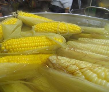 玉米须真是药吗,玉米须是保健食品