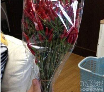 舔第二碗时,丈母娘拉我的手说:放这儿吧!等下我来洗