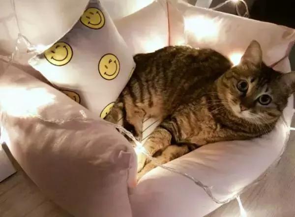 不砸瓷砖改造厨房,不砸墙改造房子