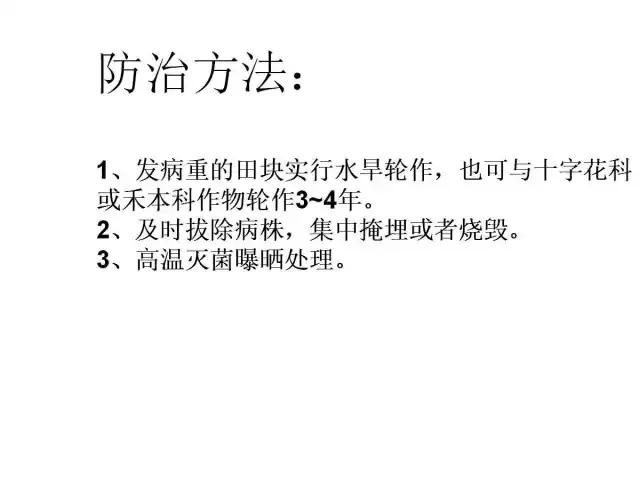 辣椒卷叶病虫害图谱及防治方案,辣椒病虫害大全