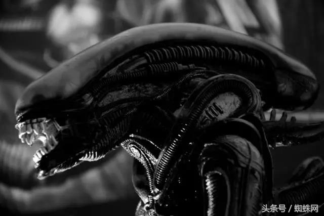 异形契约155分钟版多了些什么,异形契约删减部分解析