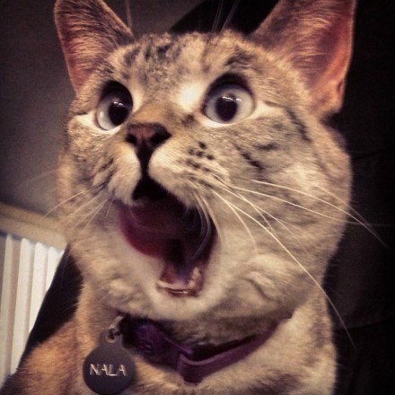 这家勾魂的饭店月销量1000+，到底有什么秘密！