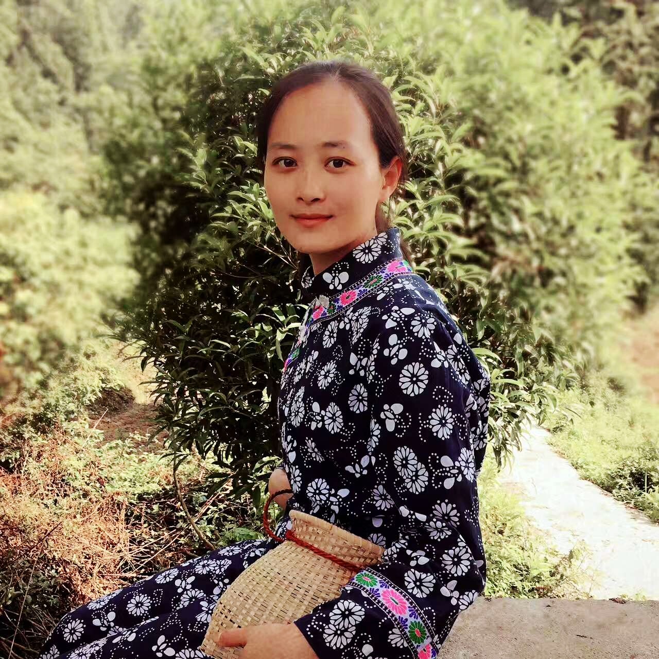 湘西采茶姑娘图片,湘西妹子采茶视频