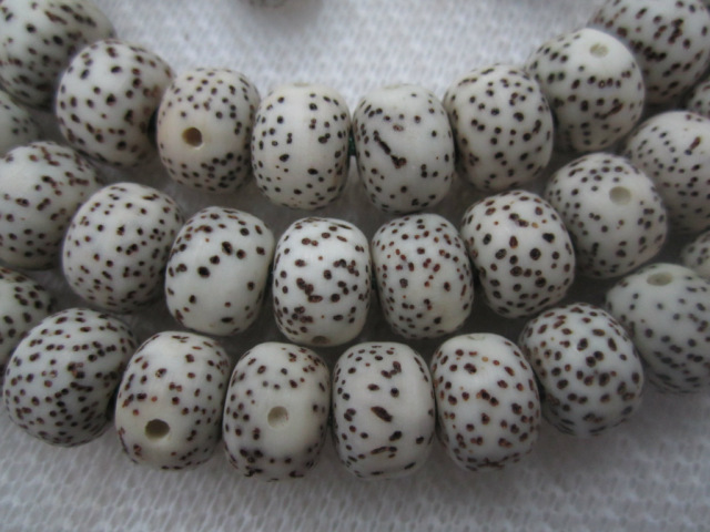 文玩星月菩提怎样选择精品,文玩星月菩提讲解