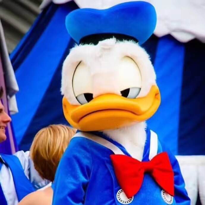 平价*党**剁手记百元内超值粉底刷——赫妮特多角粉底刷