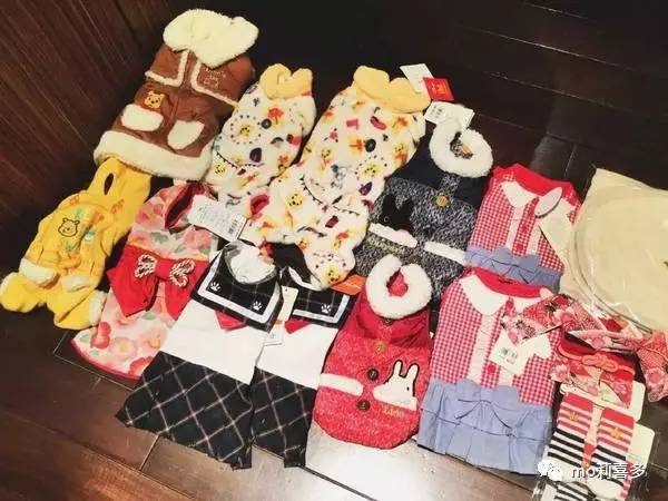 逛日本一定要买的好物,去了趟日本才知道的好物