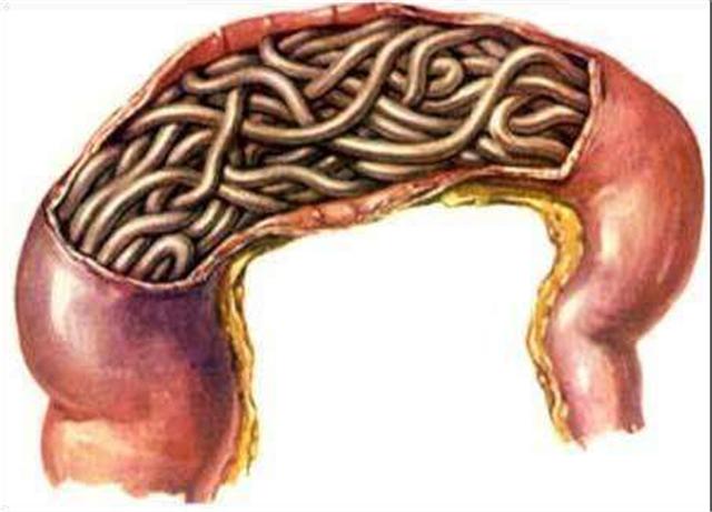 宝宝不长体重应该怎么调理,孕晚期体重不增加正常么