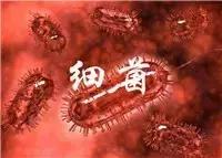 黄河三峡野猪林漂流简介,济源漂流野猪林攻略