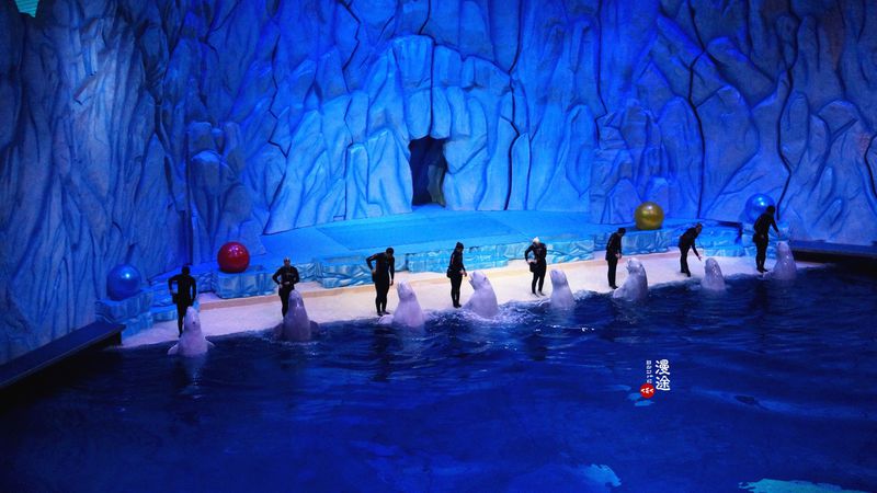 长隆亲子两大两小旅游攻略,珠海长隆横琴湾酒店亲子攻略