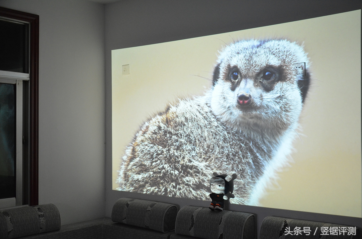 坚果睿途r8固件升级,坚果最大投影