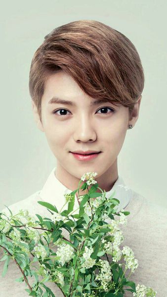 鹿晗勋章歌词壁纸图片,鹿晗壁纸4k全屏帅哥