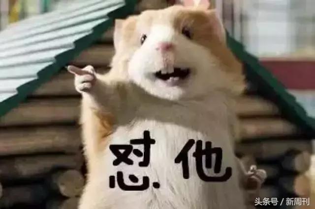 哪里的人最能怼,哪里的人最会怼