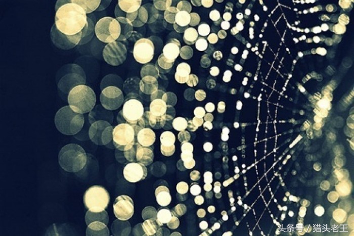 懂道理不代表要讲道理,懂道理明事理又如何