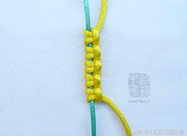 东东画眉鸟套之各种好看实用的绳套你了解吗？