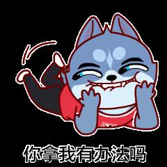 小猫用什么洗发水好 (给猫买哪些洗发水比较好)