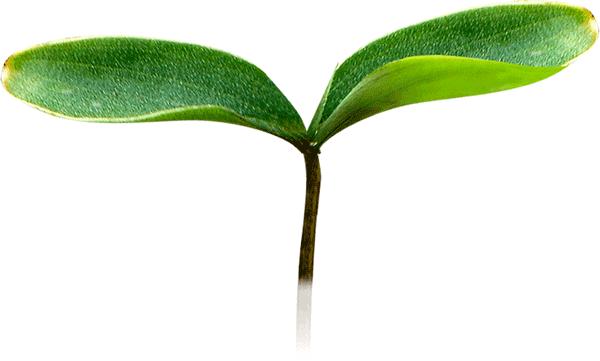 女人择偶标准3点是什么,我的择偶标准就一个字